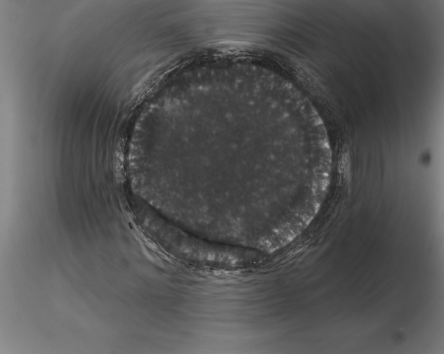 X0000115270868200912111201