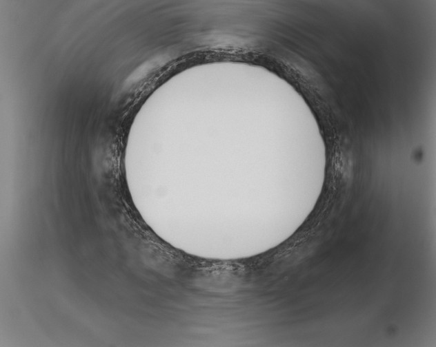 X0000115270869200912111201