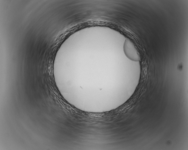 X0000115270870200912111201