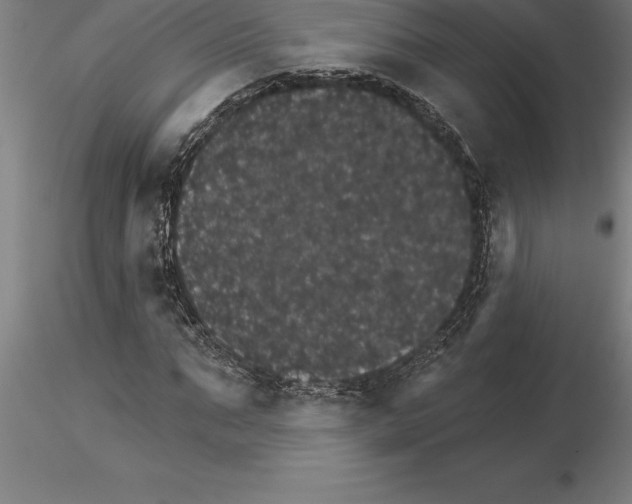 X0000115270871200912111201