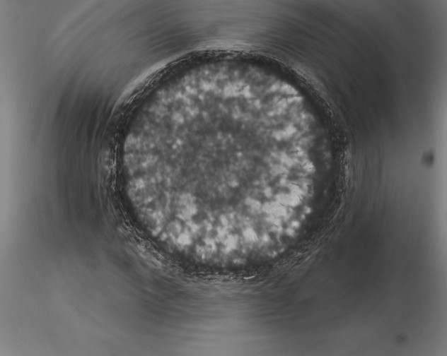 X0000115270872200912111201