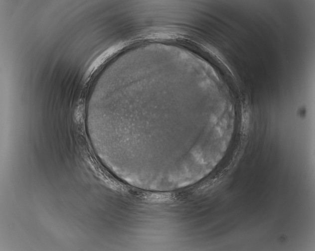 X0000115270874200912111201