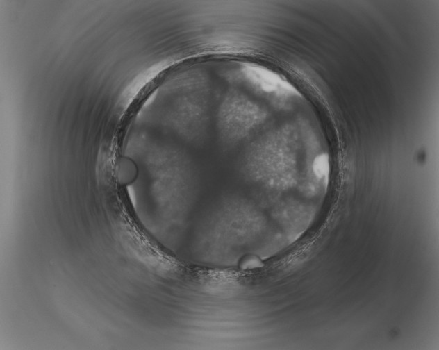 X0000115270875200912111201