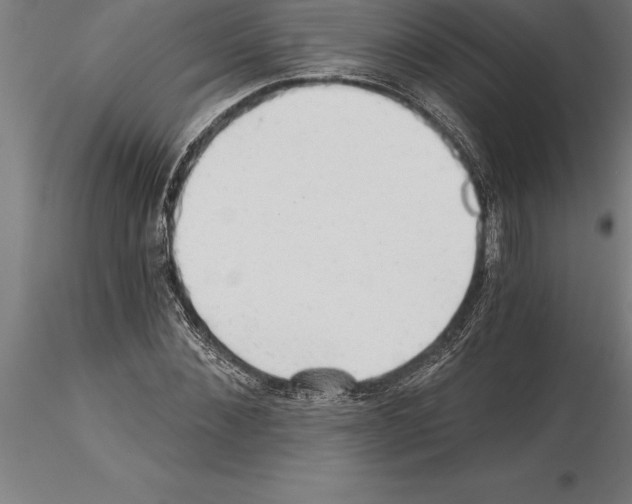 X0000115270876200912111200