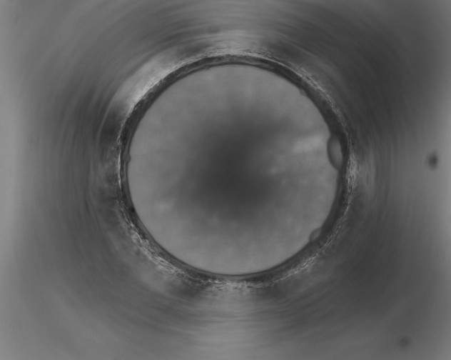 X0000115270877200912111200