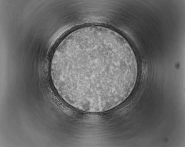 X0000115270878200912111200