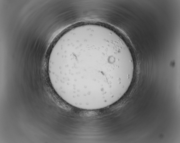 X0000115270879200912111200