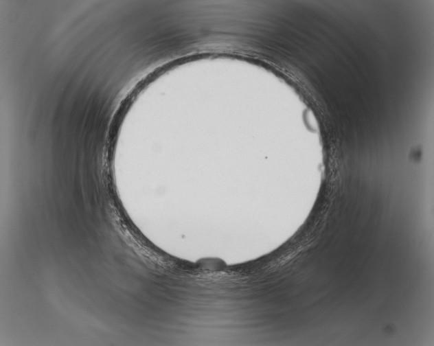 X0000115270880200912111200