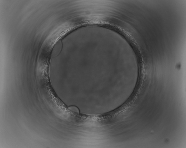 X0000115270881200912111200