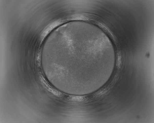 X0000115270882200912111200