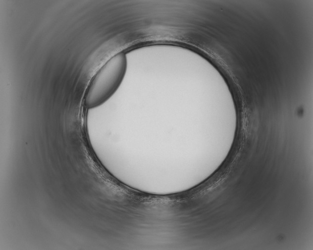 X0000115270885200912111200