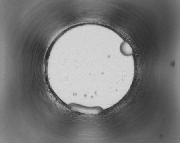 X0000115270888200912111200