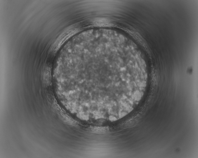 X0000115270889200912111200