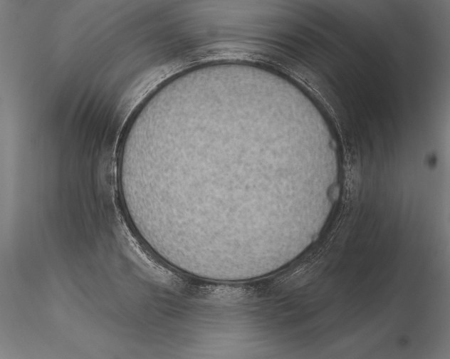 X0000115270890200912111200