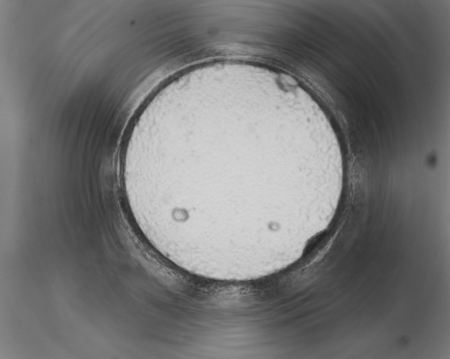 X0000115270891200912111200