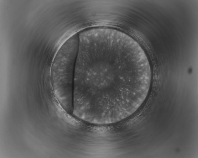 X0000115270892200912111200