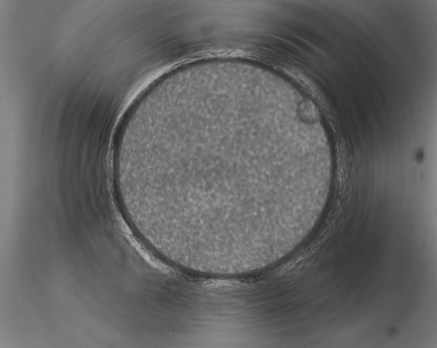 X0000115270894200912111200