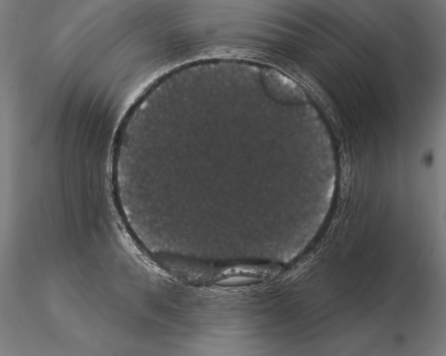 X0000115270896200912111200