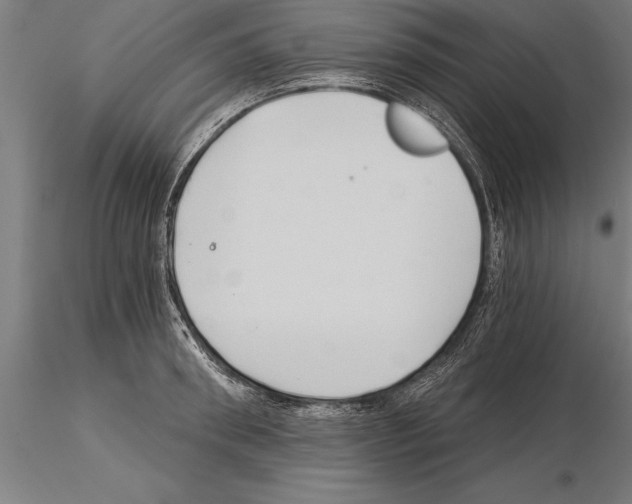 X0000115270898200912111200