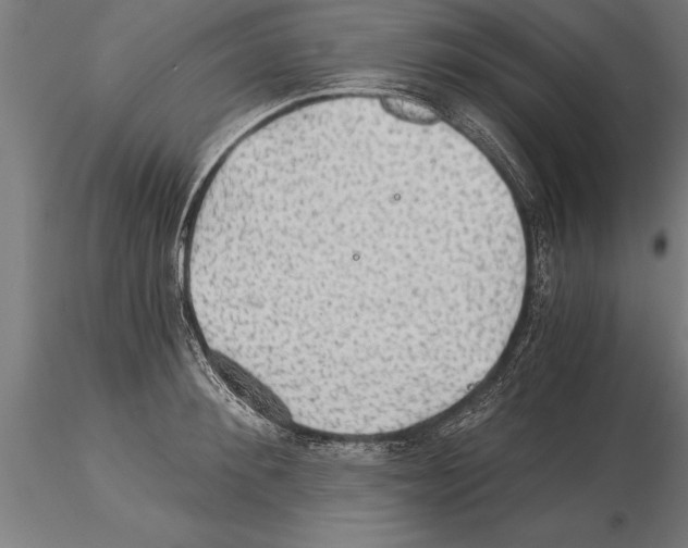 X0000115270900200912111200