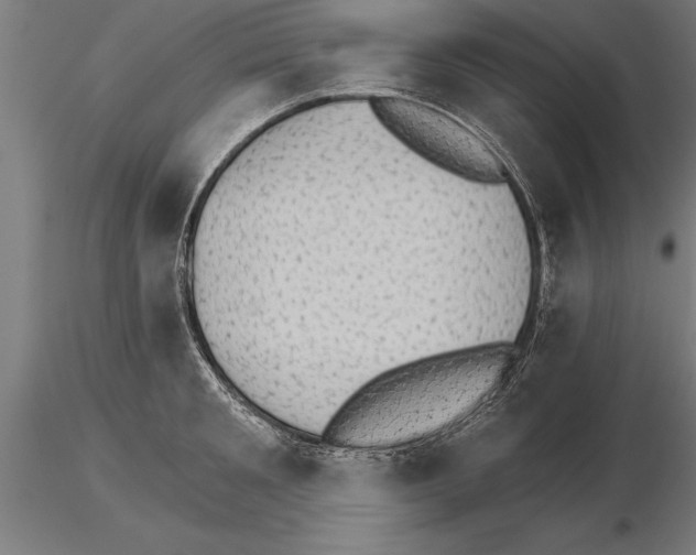 X0000115270901200912111200