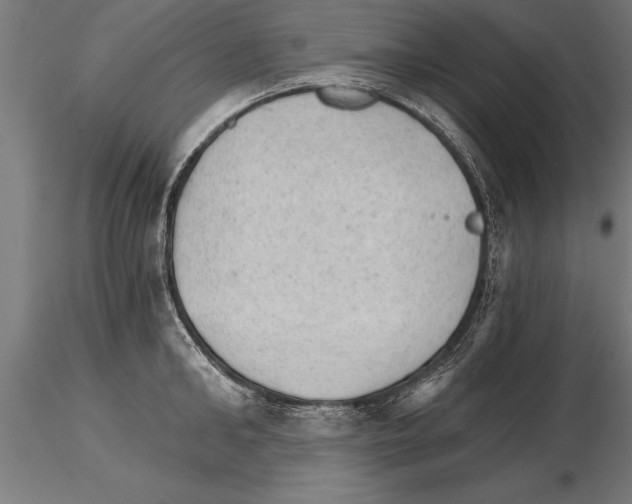 X0000115270902200912111200