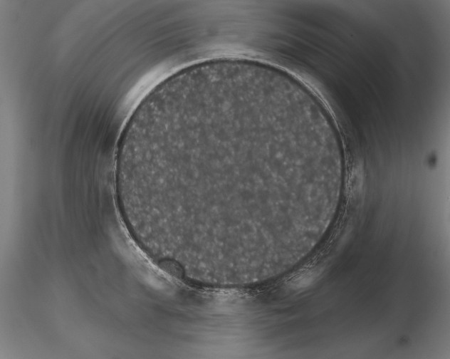 X0000115270903200912111200