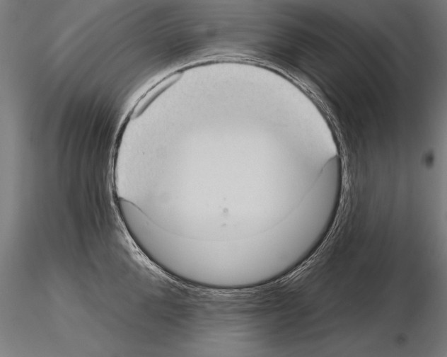 X0000115270904200912111200