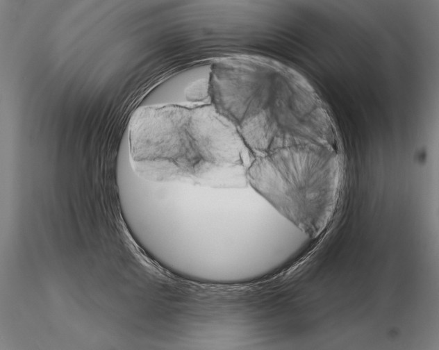 X0000115270905200912111200