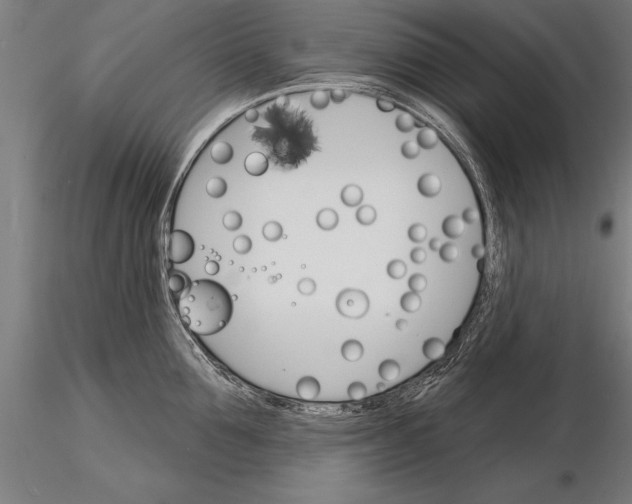 X0000115270907200912111200