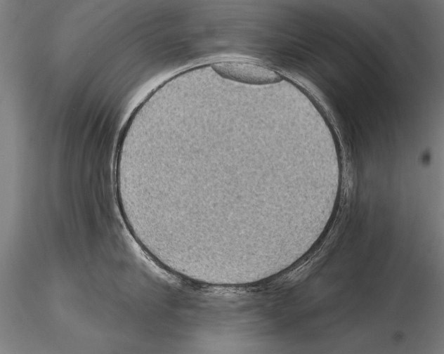 X0000115270910200912111200