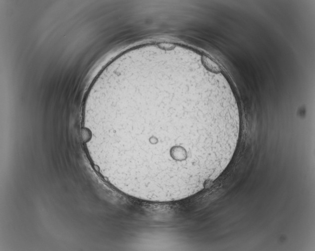 X0000115270911200912111200