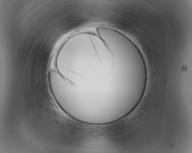 X0000115270912200912111200