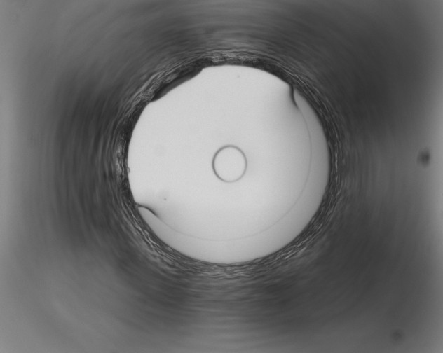 X0000115270915200912111159