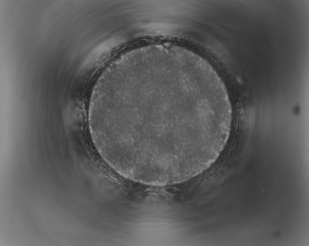 X0000115270918200912111159