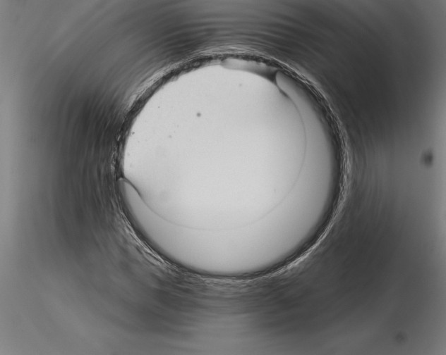 X0000115270921200912111159