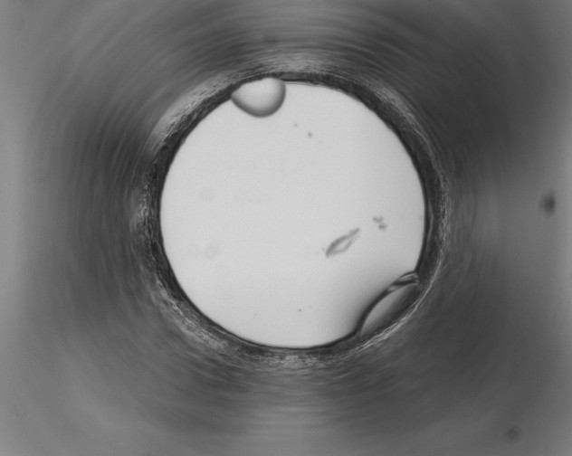 X0000115270922200912111159