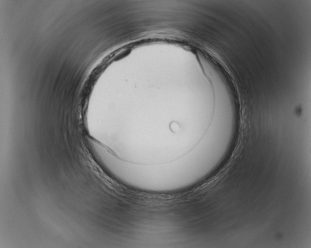 X0000115270923200912111159