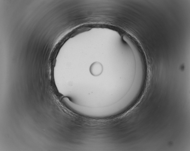 X0000115270925200912111159