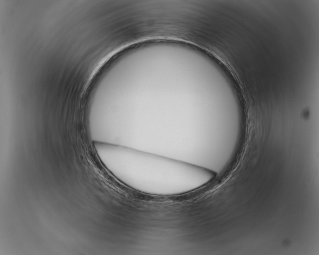 X0000115270926200912111159