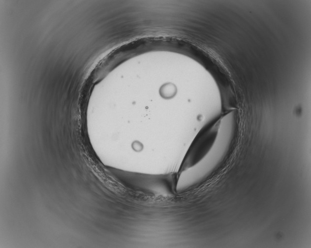 X0000115270927200912111159