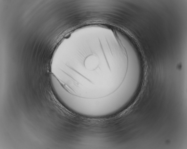 X0000115270929200912111159