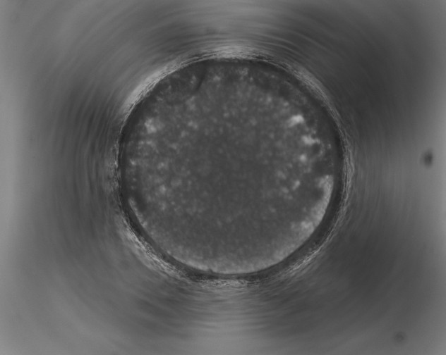 X0000115270930200912111159