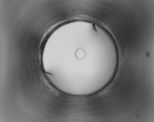 X0000115270931200912111200