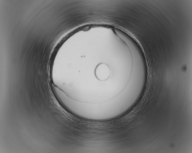 X0000115270935200912111200