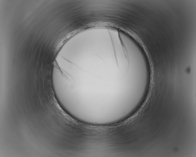 X0000115270937200912111200