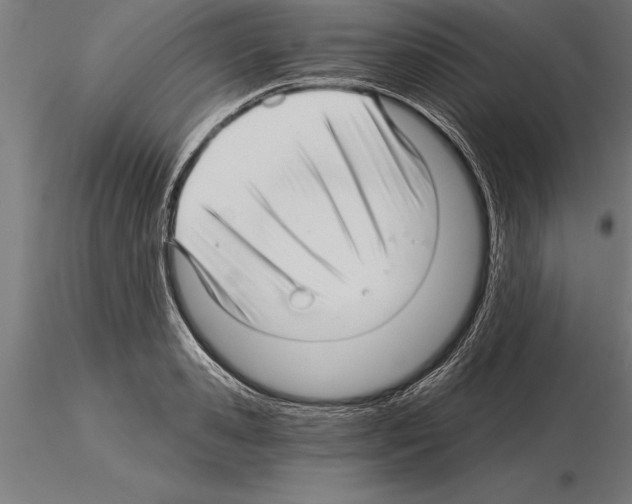 X0000115270941200912111200