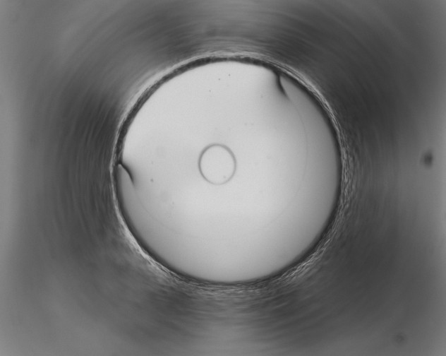 X0000115270943200912111200