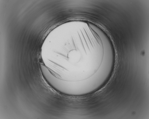 X0000115270945200912111200