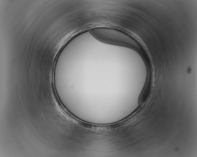 X0000115270946200912111200